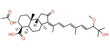Globostellatic acid C